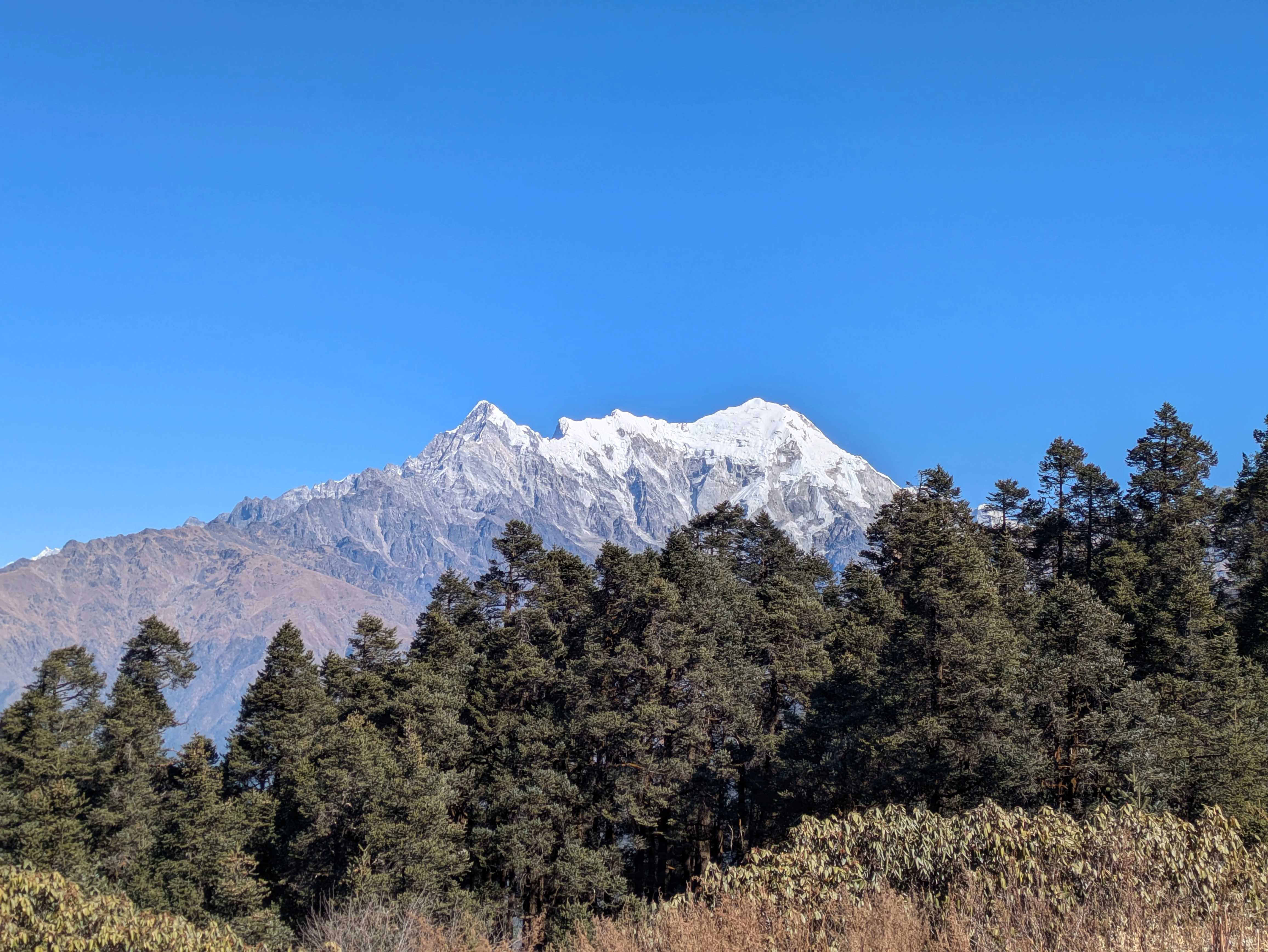 PXL_20250124_053234546