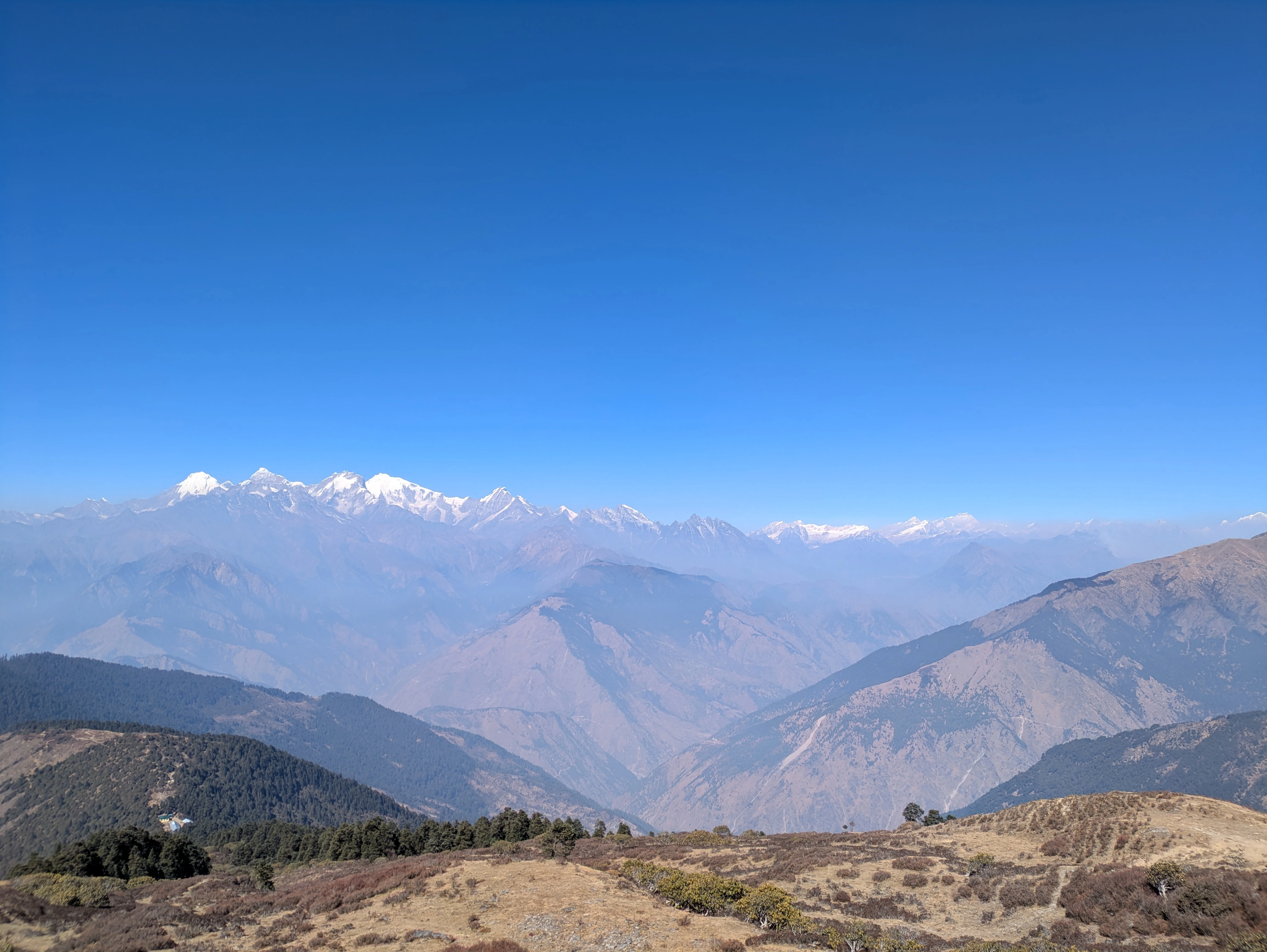 PXL_20250124_062458822